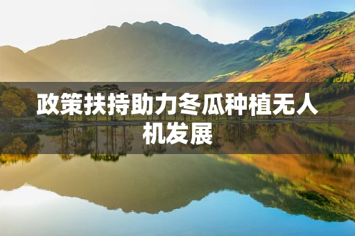 政策扶持助力冬瓜种植无人机发展