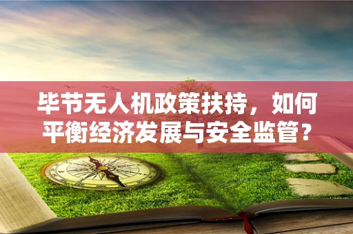 毕节无人机政策扶持，如何平衡经济发展与安全监管？