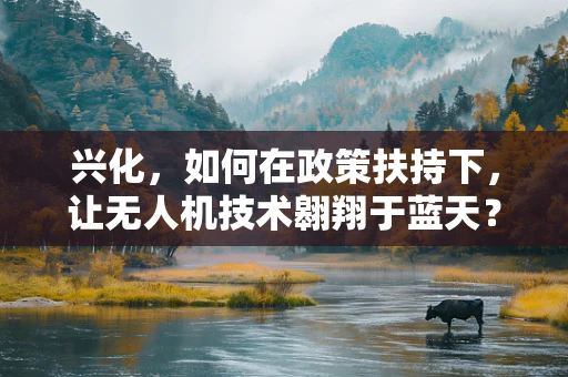 兴化，如何在政策扶持下，让无人机技术翱翔于蓝天？