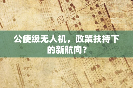 公使级无人机，政策扶持下的新航向？