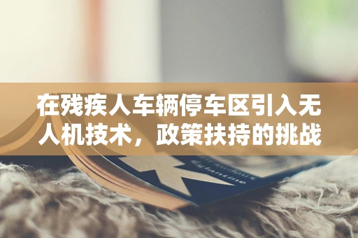 在残疾人车辆停车区引入无人机技术，政策扶持的挑战与机遇？