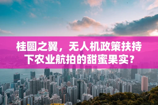 桂圆之翼，无人机政策扶持下农业航拍的甜蜜果实？
