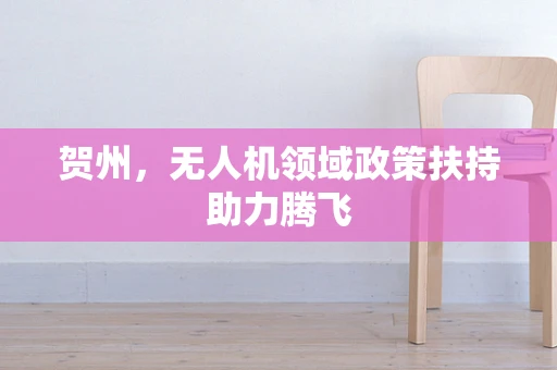 贺州，无人机领域政策扶持助力腾飞