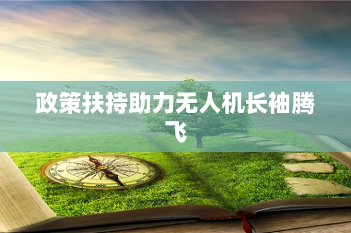 政策扶持助力无人机长袖腾飞