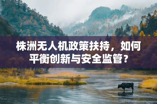株洲无人机政策扶持，如何平衡创新与安全监管？
