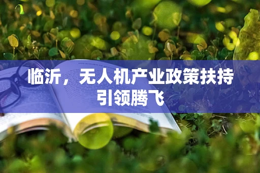 临沂，无人机产业政策扶持引领腾飞