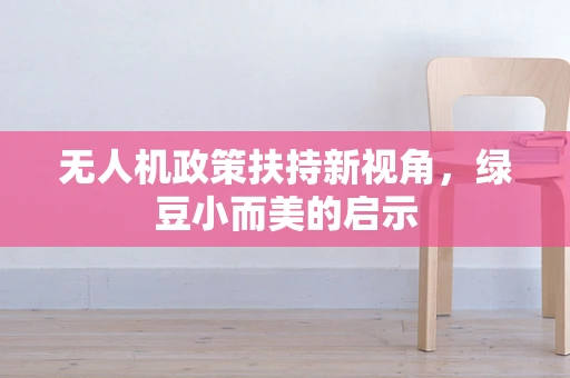 无人机政策扶持新视角，绿豆小而美的启示
