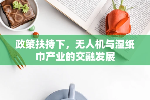 政策扶持下，无人机与湿纸巾产业的交融发展