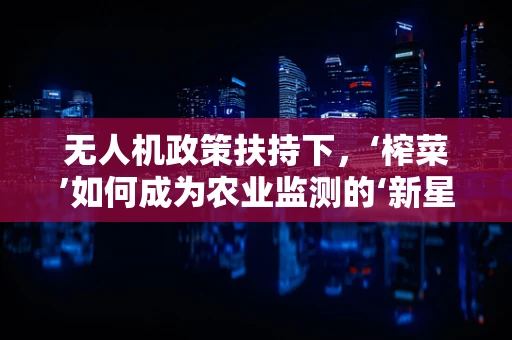 无人机政策扶持下，‘榨菜’如何成为农业监测的‘新星’？
