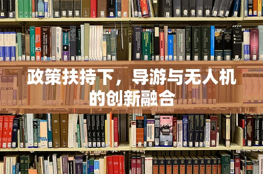 政策扶持下，导游与无人机的创新融合