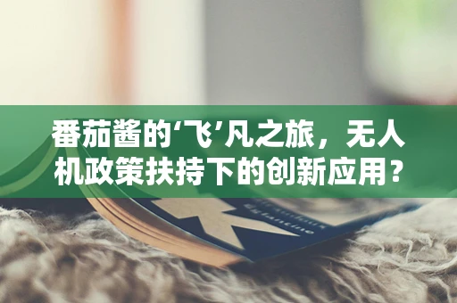 番茄酱的‘飞’凡之旅，无人机政策扶持下的创新应用？