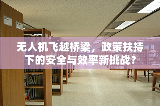 无人机飞越桥梁，政策扶持下的安全与效率新挑战？