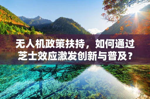 无人机政策扶持，如何通过芝士效应激发创新与普及？