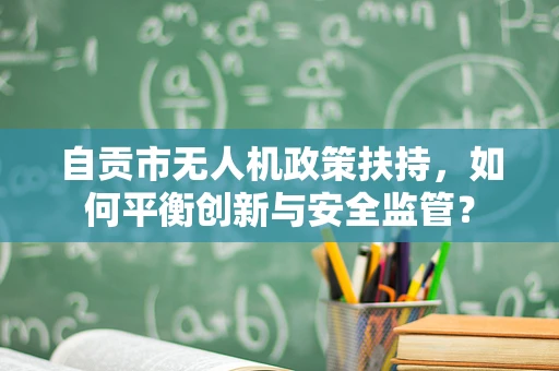 自贡市无人机政策扶持，如何平衡创新与安全监管？