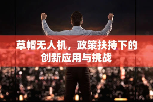 草帽无人机，政策扶持下的创新应用与挑战