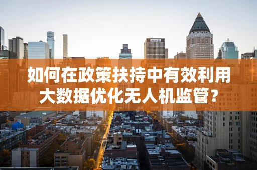 如何在政策扶持中有效利用大数据优化无人机监管？