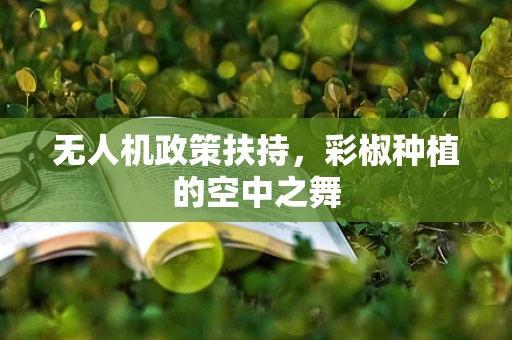 无人机政策扶持，彩椒种植的空中之舞