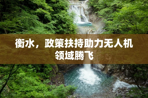 衡水，政策扶持助力无人机领域腾飞