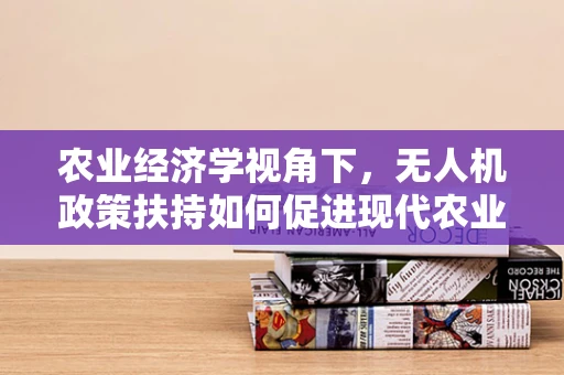 农业经济学视角下，无人机政策扶持如何促进现代农业转型？