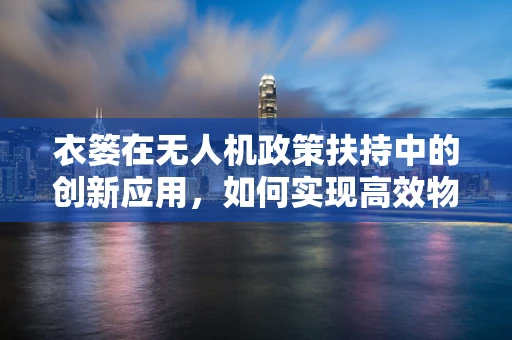 衣篓在无人机政策扶持中的创新应用，如何实现高效物流与安全监管的双重保障？