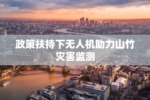 政策扶持下无人机助力山竹灾害监测