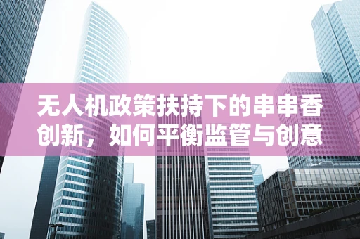 无人机政策扶持下的串串香创新，如何平衡监管与创意？