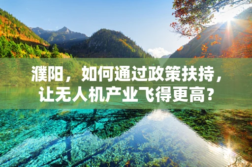 濮阳，如何通过政策扶持，让无人机产业飞得更高？