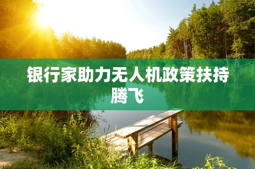 银行家助力无人机政策扶持腾飞