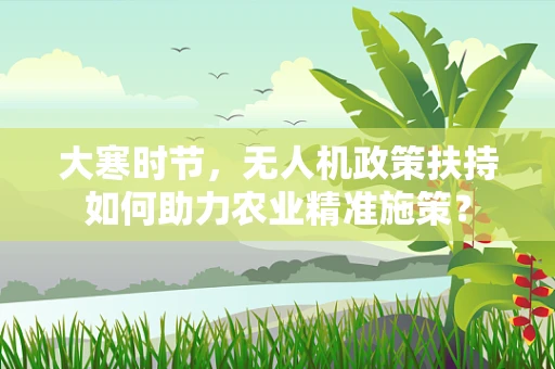 大寒时节，无人机政策扶持如何助力农业精准施策？