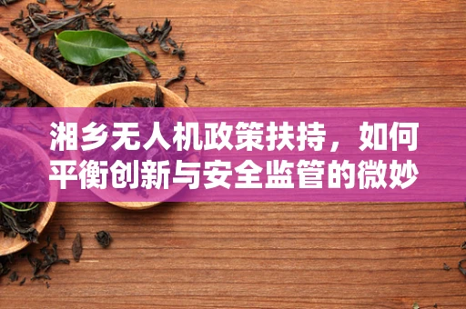 湘乡无人机政策扶持，如何平衡创新与安全监管的微妙平衡？