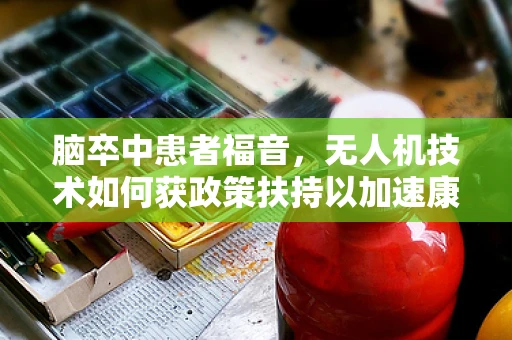 脑卒中患者福音，无人机技术如何获政策扶持以加速康复进程？