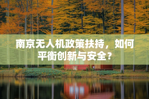 南京无人机政策扶持，如何平衡创新与安全？