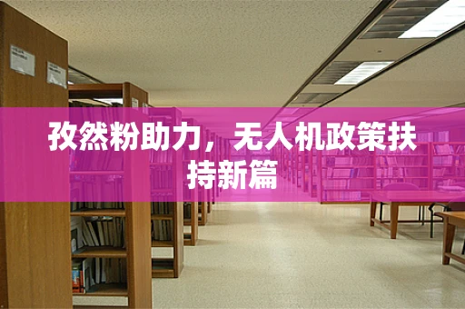 孜然粉助力，无人机政策扶持新篇