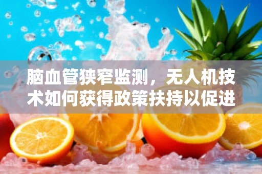 脑血管狭窄监测，无人机技术如何获得政策扶持以促进医疗应用？
