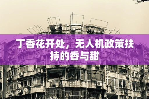 丁香花开处，无人机政策扶持的香与甜