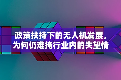 政策扶持下的无人机发展，为何仍难掩行业内的失望情绪？