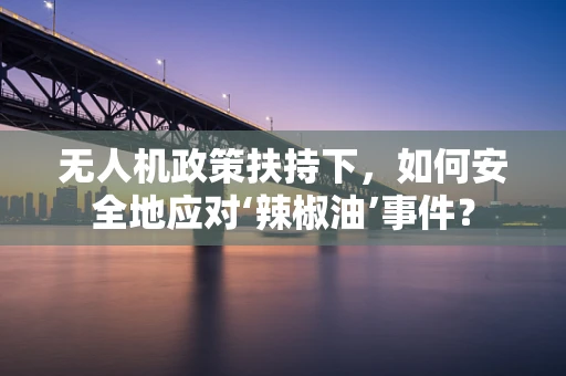 无人机政策扶持下，如何安全地应对‘辣椒油’事件？