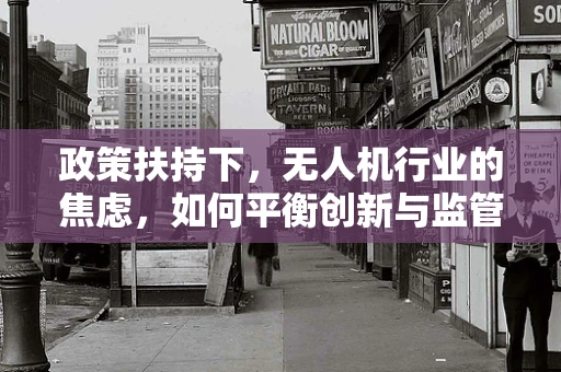 政策扶持下，无人机行业的焦虑，如何平衡创新与监管？