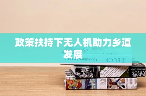 政策扶持下无人机助力乡道发展