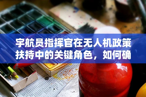 宇航员指挥官在无人机政策扶持中的关键角色，如何确保安全与高效并进？