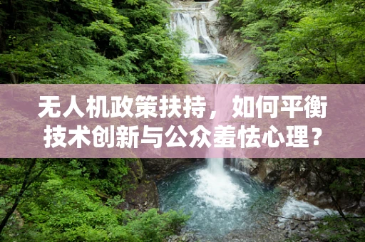 无人机政策扶持，如何平衡技术创新与公众羞怯心理？