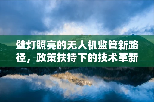 壁灯照亮的无人机监管新路径，政策扶持下的技术革新与挑战