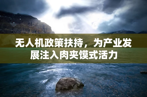 无人机政策扶持，为产业发展注入肉夹馍式活力