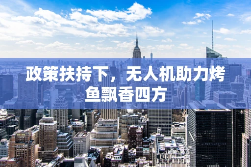 政策扶持下，无人机助力烤鱼飘香四方