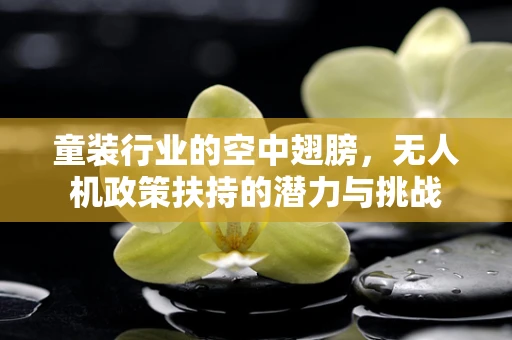童装行业的空中翅膀，无人机政策扶持的潜力与挑战