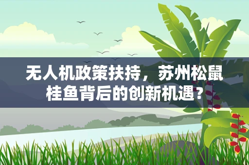 无人机政策扶持，苏州松鼠桂鱼背后的创新机遇？
