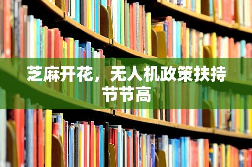芝麻开花，无人机政策扶持节节高