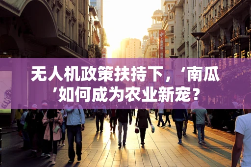 无人机政策扶持下，‘南瓜’如何成为农业新宠？