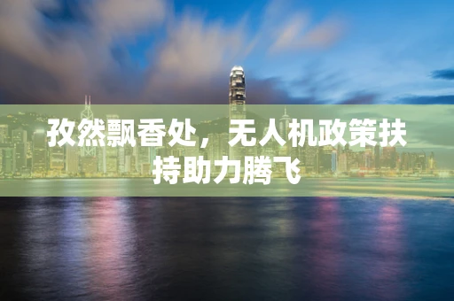 孜然飘香处，无人机政策扶持助力腾飞