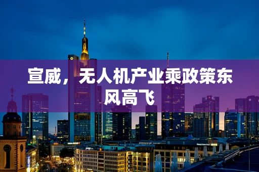 宣威，无人机产业乘政策东风高飞